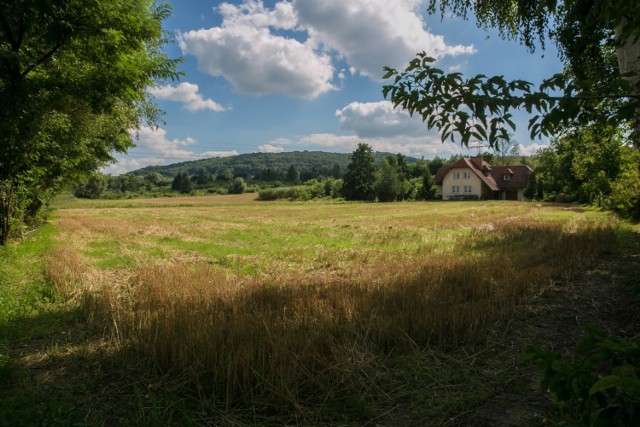 Przy ulicy Podłużnej i Pylnej rozciągają się teraz tereny zielone. Są tam domy jednorodzinne, ale jak na razie -  niewiele