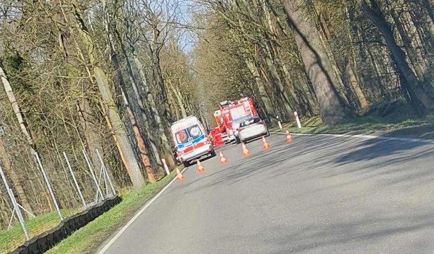 Tragiczny wypadek w Bytomiu! Uderzył w przydrożne drzewo, kierowca nie żyje. Droga jest zablokowana!