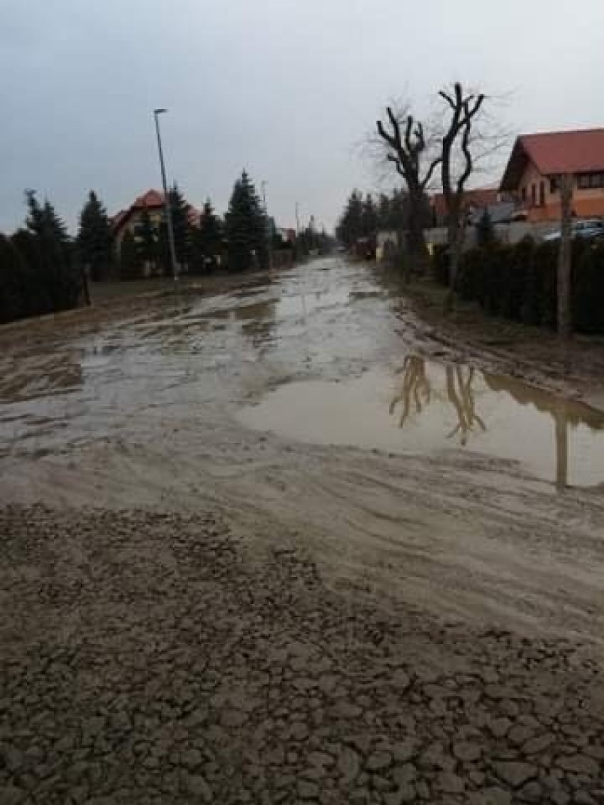 Dzień dobry.

Pisze do Państwa w imieniu zrozpaczonych...