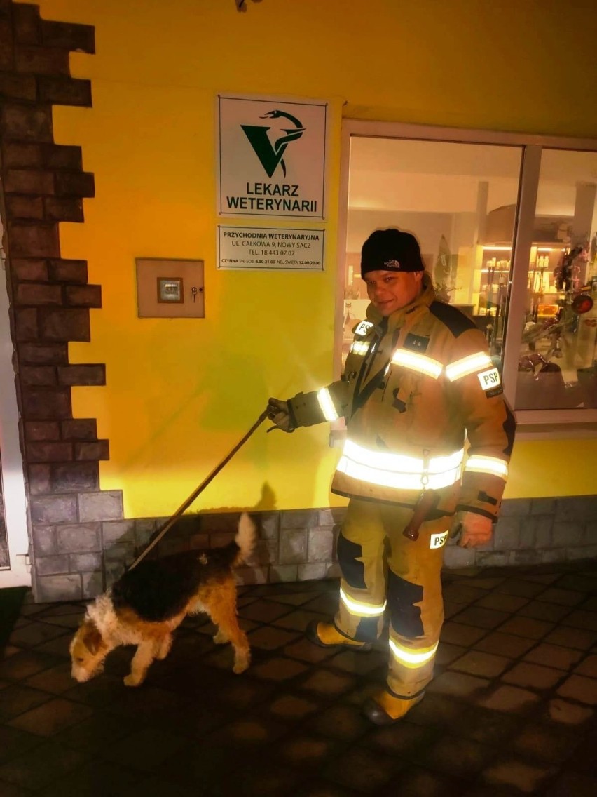 Sądeccy strażacy ratowali psa, który utknął w kratach kanału melioracyjnego