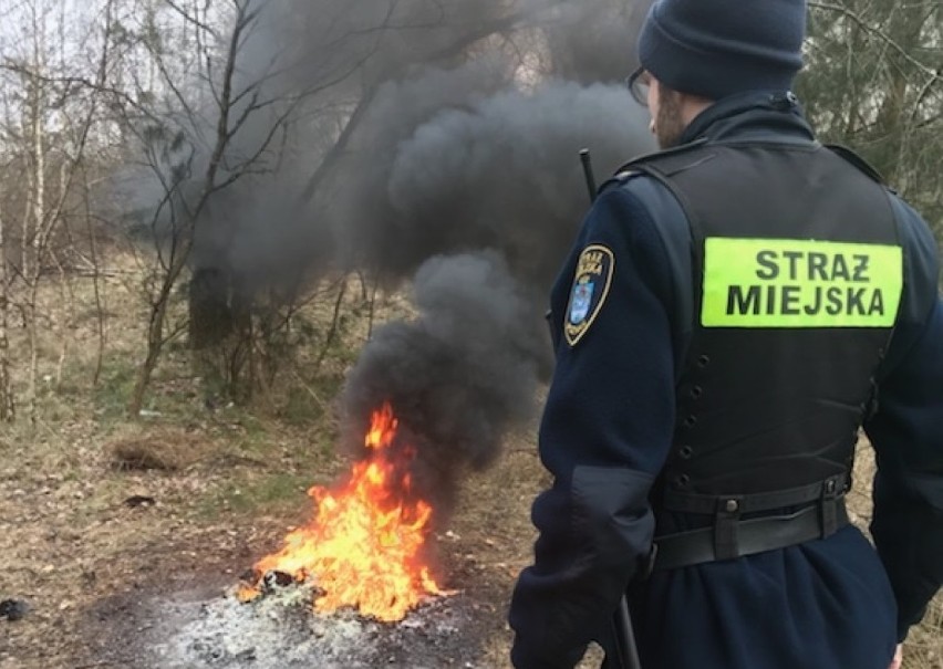 Okazało się, że na terenie pogotowia społecznego robiono...