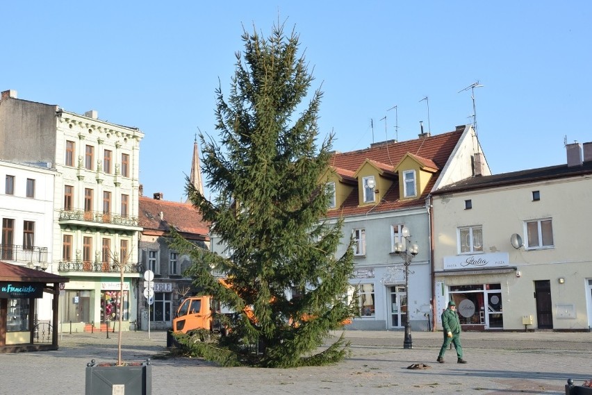 Na Rynku w Inowrocławiu zamontowano już choinkę. Od połowy...