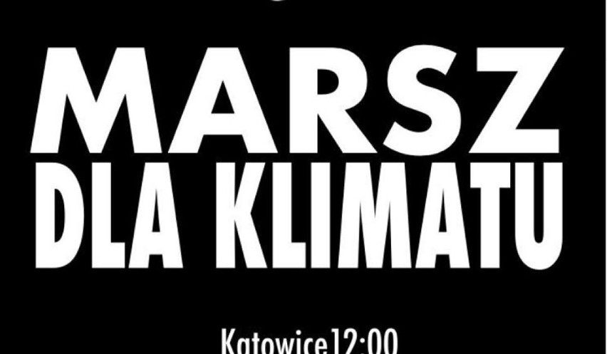 Pikieta dla klimatu w sobotę, 8 grudnia, w Zduńskiej Woli