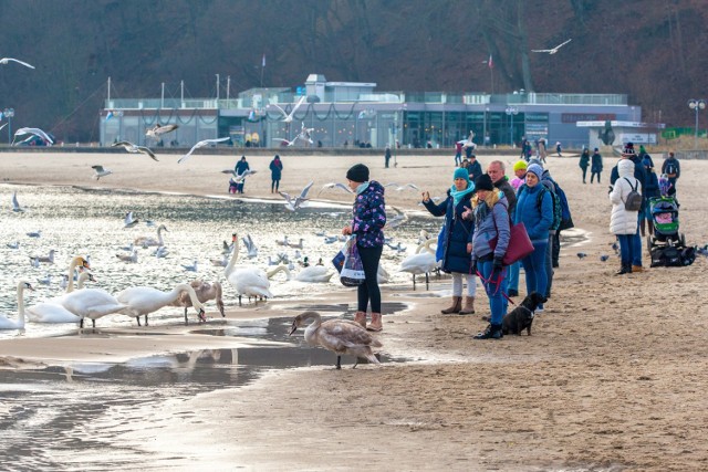 Pierwsza ciepła, pogodna, niemal wiosenna niedziela sprawiła, że na gdyńskich ulicach, plaży i bulwarach pojawiły się tłumy spacerowiczów. Zobaczcie zdjęcia!