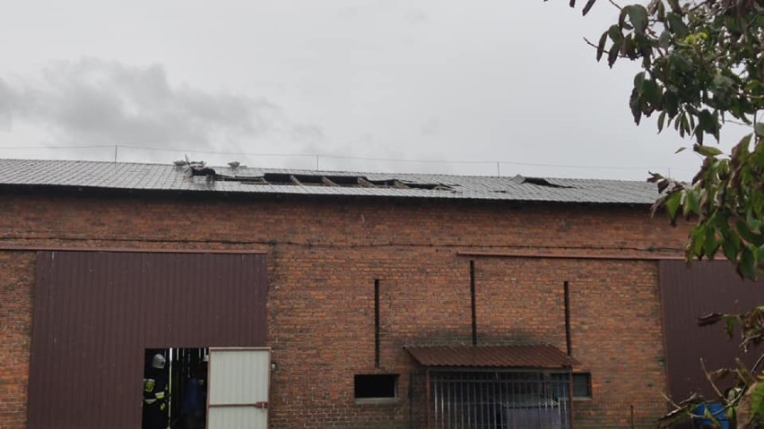 Powiat bełchatowski: Wiatr zrywał dachy i łamał drzewa