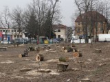 Radomsko: Losy skweru przy Sierakowskiego i Reymonta wiszą na włosku
