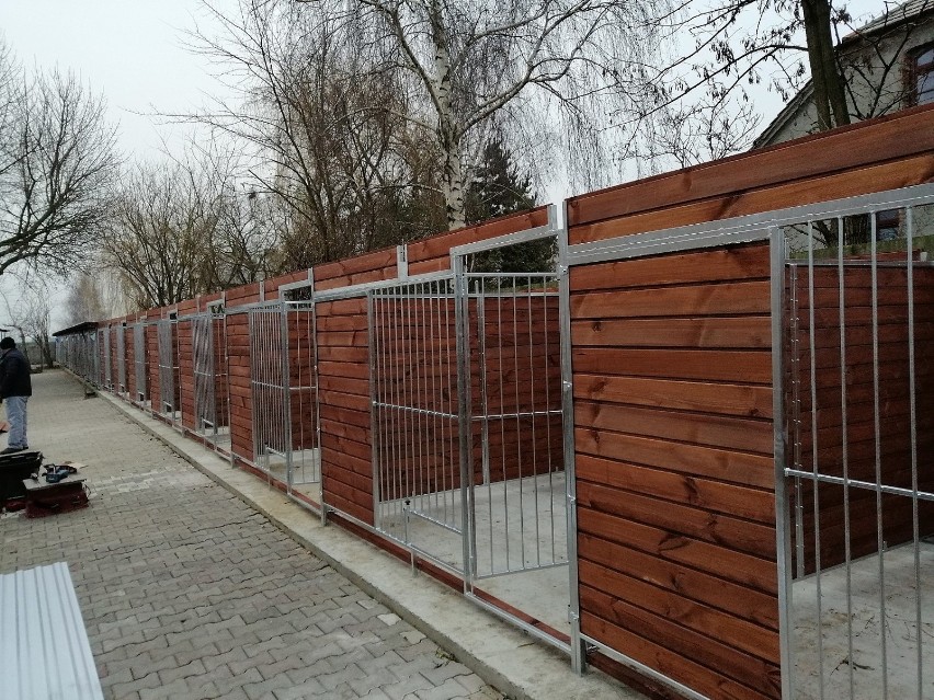 Schronisko dla bezdomnych zwierząt w Kaliszu. Psy będą miały nowe, bardziej komfortowe boksy. ZDJĘCIA