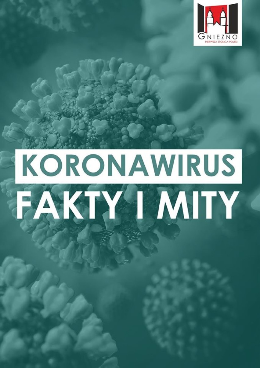 Fakty i mity na temat koronawirusa. Co musisz wiedzieć?