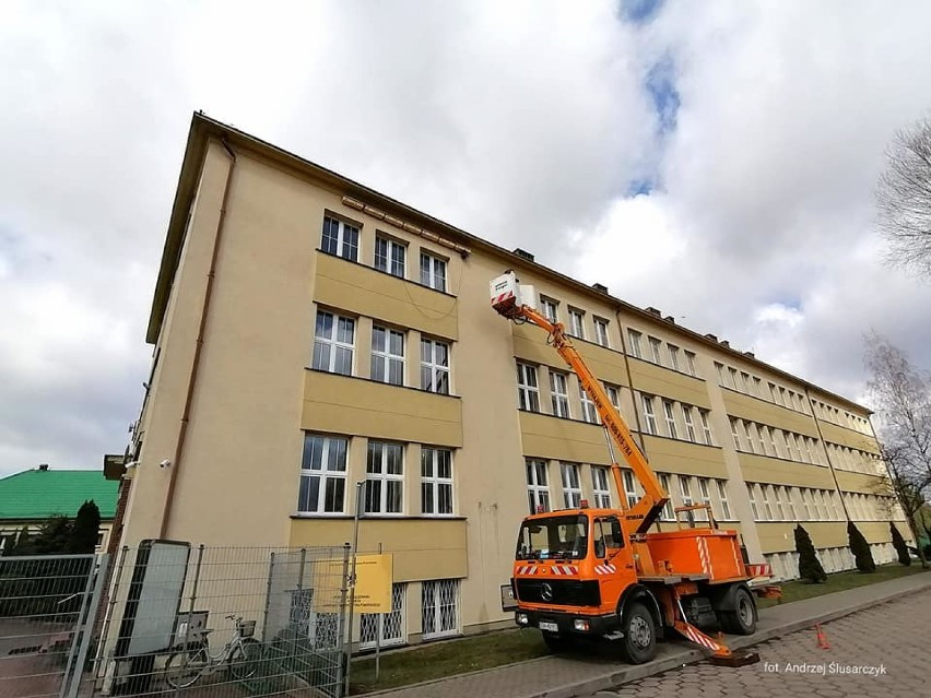 Budki dla jerzyków w Pruszczu już zamontowane. 400 domków gotowych do zasiedlenia