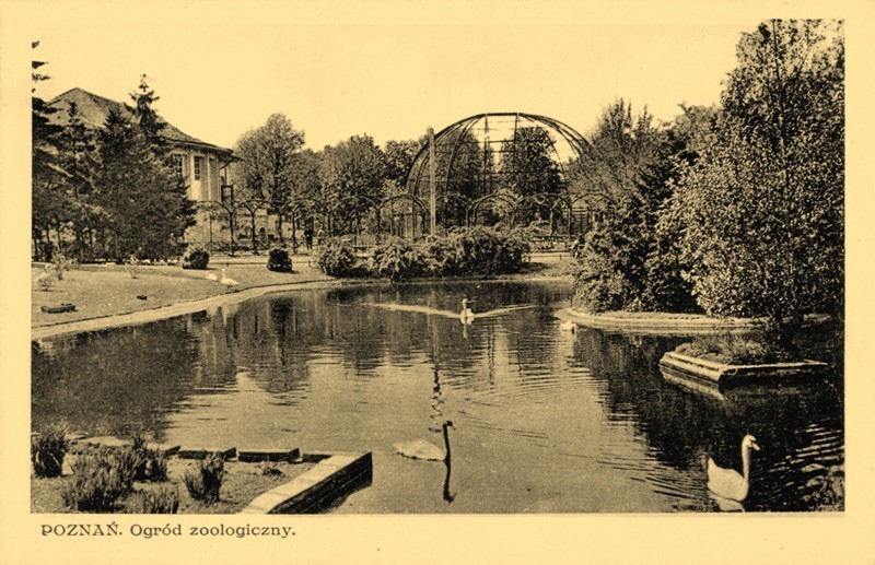 Poznań: W 1874 r. Ogród Zoologiczny założyli... kręglarze [ZDJĘCIA ARCHIWALNE]