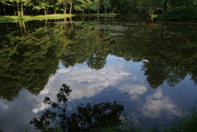 Park Zielona to jedno z ulubionych miejsc wypoczynku mieszkańców Dąbrowy Górniczej