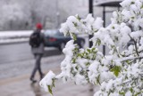 Dziś w Opolu i na Opolszczyźnie może padać śnieg 
