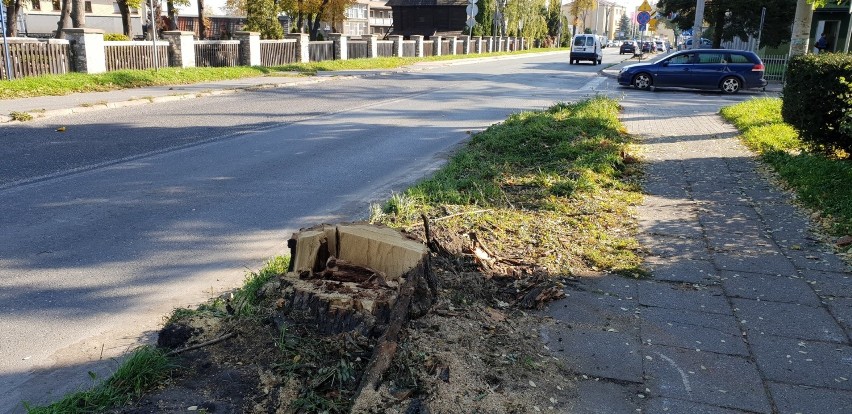 Rusza przebudowa ul. Gogolińskiej w Strzelcach Opolskich. Droga będzie zamknięta dla ruchu. Remont potrwa do 28 sierpnia 2020 r.