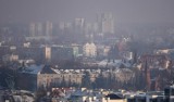Smog w Poznaniu: W której dzielnicy jest najgorsze powietrze? [RANKING]