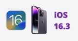 Aktualizacja iOS 16.3 już dostępna. Oto pełna lista zmian. Wyczekiwany ratunek dla posiadaczy iPhone'ów 14 Pro Max