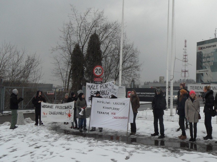 Sosnowiec: Protest wegan pod Expo Silesia [ZDJĘCIA I WIDEO]