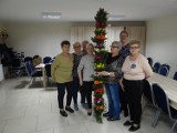 Warsztaty plastyczne. Seniorzy z Dobrzycy przygotowali piękną palmę, która weźmie udział w gminnym konkursie 