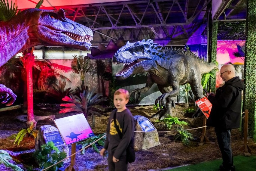 Na wystawie można zobaczyć ponad 20 dinozaurów w...