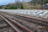 Jedlina-Zdrój: Prace na linii kolejowej 285 idą pełną parą [ZDJĘCIA]