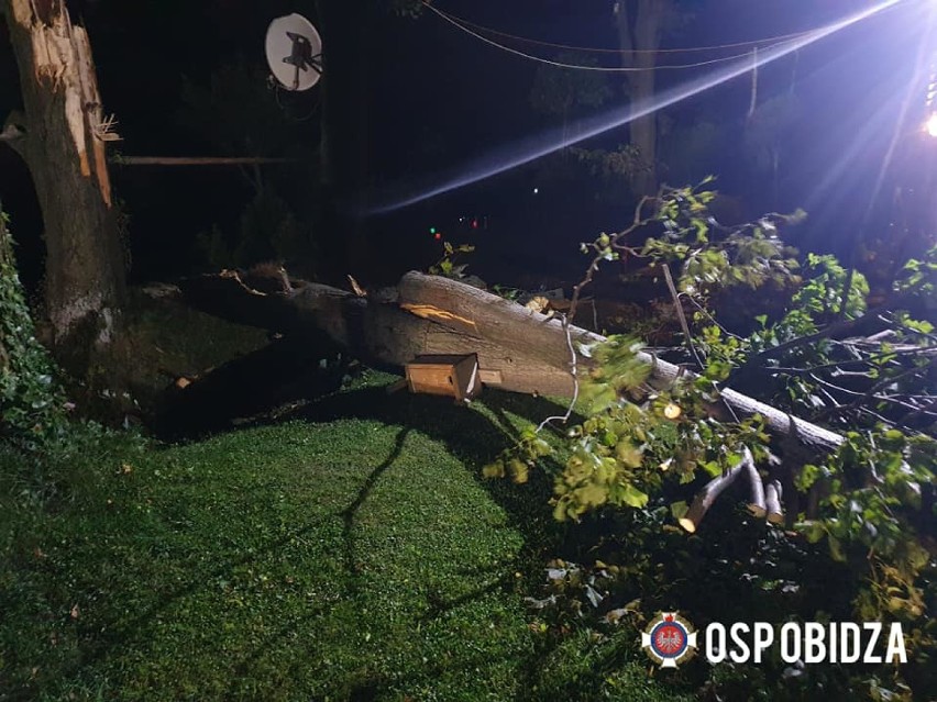 Drzewo uszkodziło dach i linie energetyczne w Obidzy
