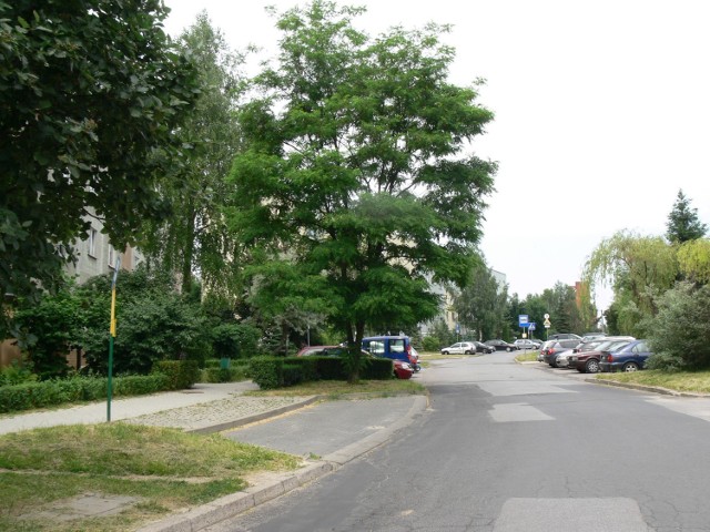 Remont ulicy  Mickiewicza i Cieśli  spowoduje zmiany w kursowaniu autobusów komunikacji miejskiej.