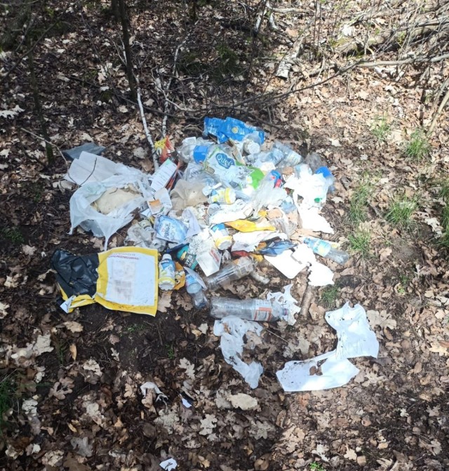W Dzień Ziemi 34-latka z Bucza wyrzuciła śmieci do lasu. Zdradził ją list przewozowy
