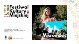 Rusza Festiwal Kultury Miejskiej w Zduńskiej Woli PROGRAM - PLAKATY