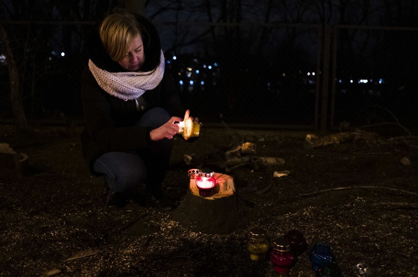 "Zapal świeczkę drzewom". Aktywiści po raz kolejny protestują przeciwko wycince drzew na warszawskiej Pradze