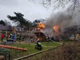 Hel: spłonął drewniany dom na terenie ogródków działkowych | ZDJĘCIA, NADMORSKA KORNIKA POLICYJNA