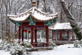 Zima w Łazienkach Królewskich. Najpiękniejszy ogród Warszawy pokryty białym puchem