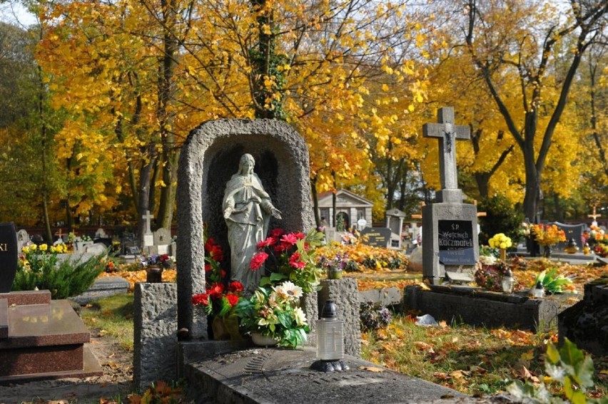 Cmentarze w powiecie kościańskim. Zobaczcie zdjęcia [FOTO]
