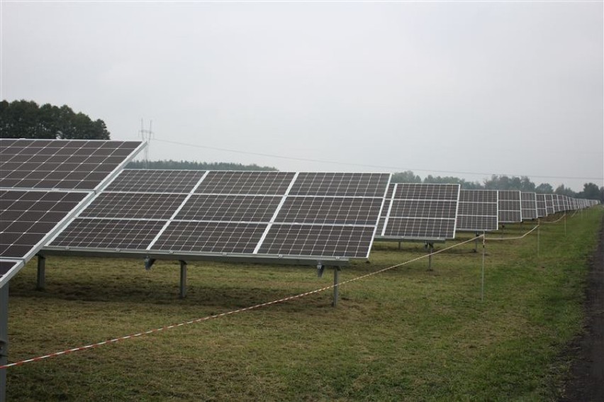 Elektrownia słoneczna w Sochaczewie. To pierwszy obiekt w kraju, który wykorzystuje tę nowoczesną technologię
