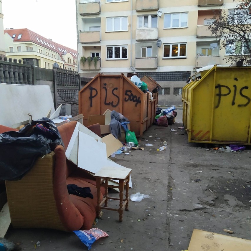 Śmietnik przy ulicy Chojnowskiej