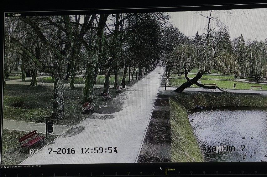 Monitoring w parku miejskim im. Poniatowskiego w Piotrkowie...