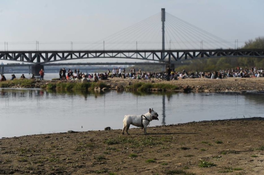 Plaże miejskie w Warszawie