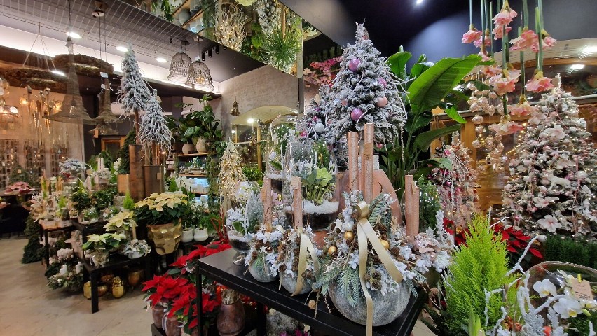 Wyjątkowe dekoracje świąteczne na Boże Narodzenie w kwiaciarni Czarna Owca w Piotrkowie. Zobaczcie co jest modne w 2023 roku. ZDJĘCIA