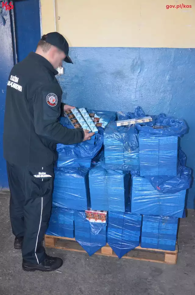 Łącznie mundurowi znaleźli 10,5 tys. paczek papierosów, na które kierowca – mieszkaniec województwa lubelskiego – nie posiadał wymaganych dokumentów.