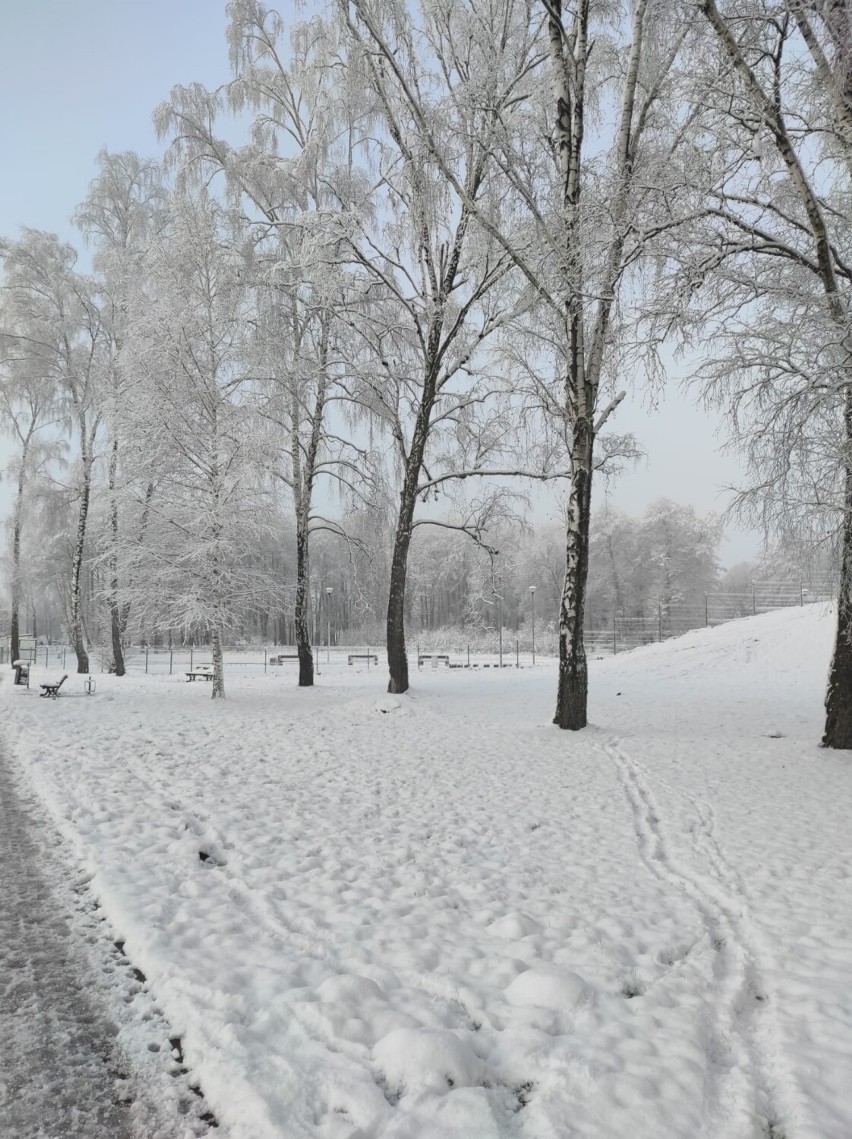 Bajkowe krajobrazy w powiecie sławieńskim. Wróciła śnieżna zima [zdjęcia]