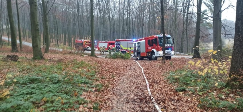 Manewry zgromadziły ponad 70 strażaków z gminy Tyczyn i...