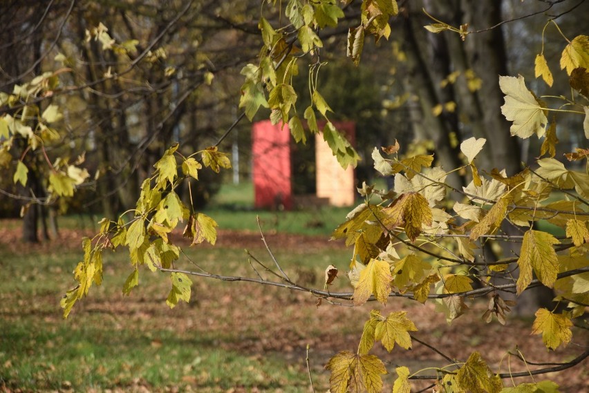 Tychy jesienią 2019