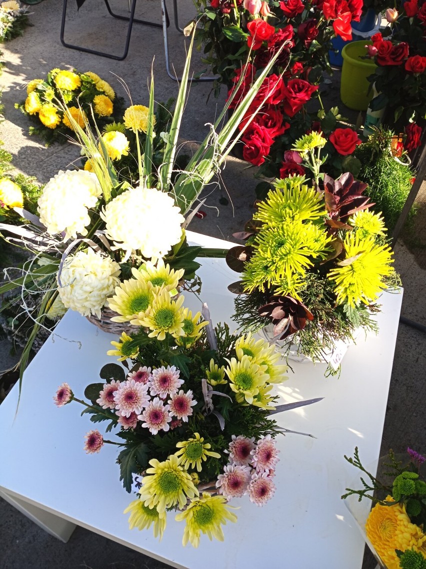 To już ostatni moment, by kupić chryzantemy na Dworzysku. Plac jest wypełniony kwiatami, a ich ceny wahają się od 15 do 50 złotych