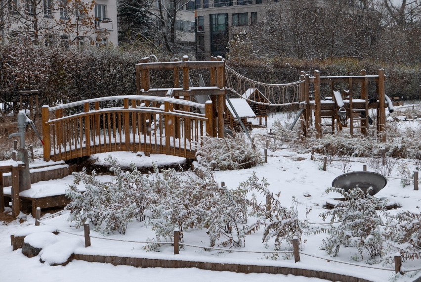 Łazienki Królewskie zimą. Najpiękniejszy ogród Warszawy pod białym puchem. Miejsce do spacerów i odpoczynku