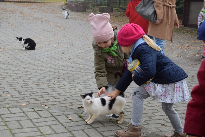 Przedszkolaki ze Szczecinka dla schroniska dla zwierząt [zdjęcia]