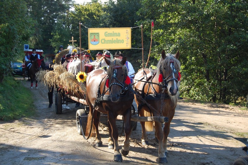 Dożynki powiatowe w Żukowie