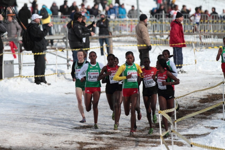 Cross Country Bydgoszcz 2013 - Seniorki