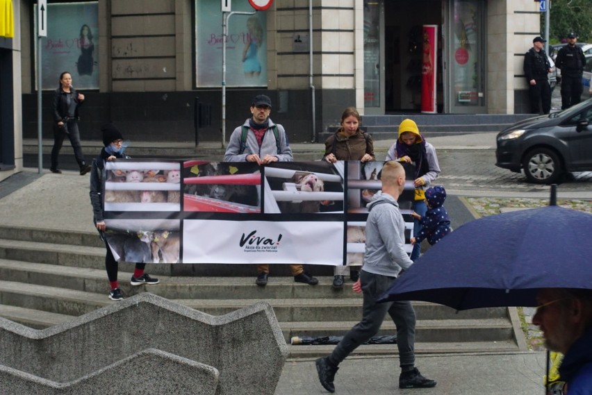 Poznań: Protest obrońców praw zwierząt