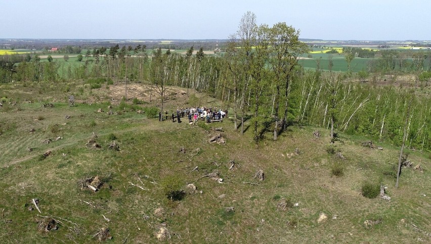 Wzgórze Wilhelma (171,06 m n.p.m.) jest drugim najwyższym...