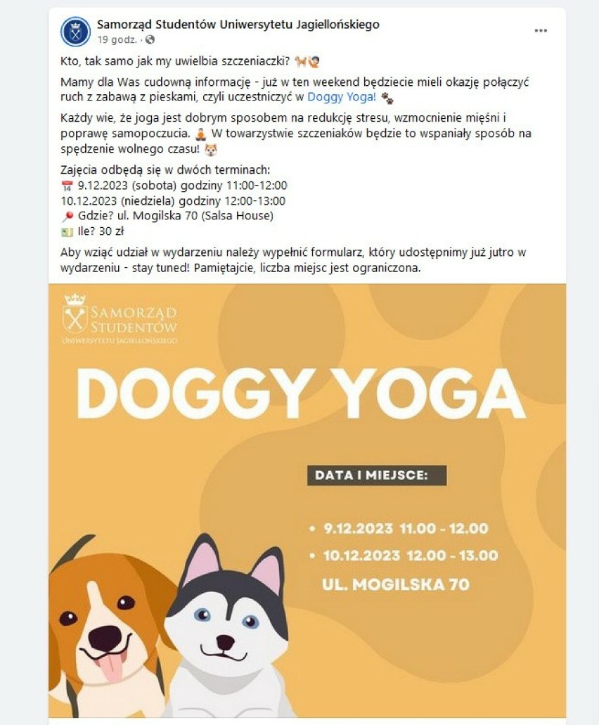 Kraków. Samorząd studentów UJ zaprosił na jogę z psami. I wywołał burzę w internecie