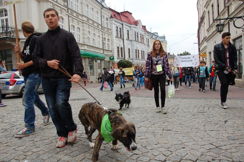 Marsz w obronie praw zwierząt, Tarnów 2014
