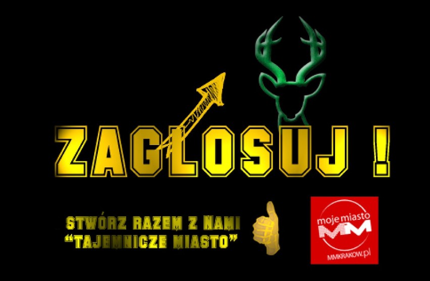 Zagłosuj.